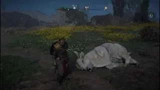 Ghost Auroch Boss Fight (Bad Bull Trophy) - AC Valhalla The Siege of Paris