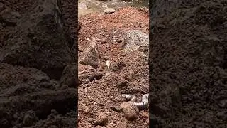 #Snake #So Big Snake #So Horrible #during excavation