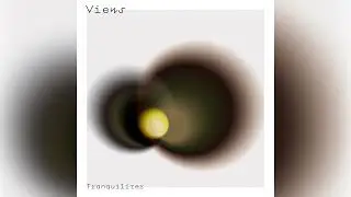 Tranquilizer - Views