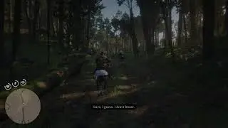 Red dead redemption 2 100% walkthrough plus glitches