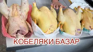 КОБЕЛЯКИ// ЦЕНЫ НА ПРОДУКТЫ‼️