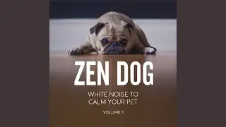 Beach Sounds for Dogs: Catch in the Calming Waves