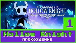 Another indie game full of bugs | Hollow Knight. Pt.1.