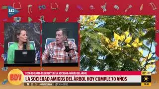 La sociedad 