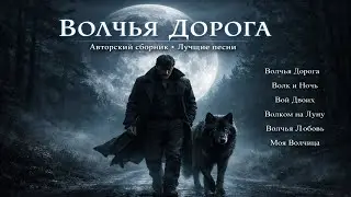 Волчья Дорога🔥Авторский сборник лучших песен