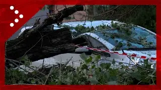 Tromba d'aria a Pregnana Milanese: automobile distrutta da un albero