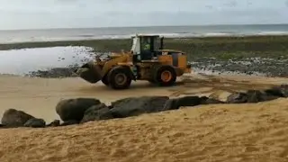 Maspalomas, o cómo cargarse un lugar paradisiaco