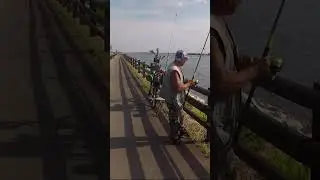🎣 Sport Fishing Near Grado 🇮🇹