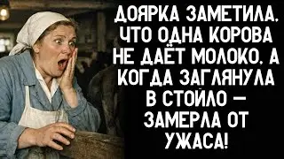 Доярка заметила, что одна корова не даёт молоко, а когда заглянула в стойло — замерла от ужаса!