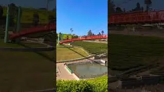 Why Ooty is the Most Beautiful Place in India #Shorts #Ooty #hills