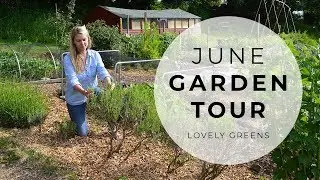 June Allotment Garden Tour