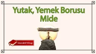 AYT Biyoloji | Yutak, Yemek Borusu ve Mide #sayfa64