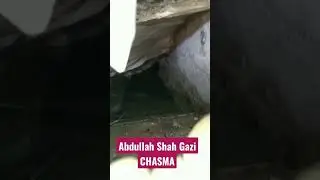 Chasma Abdullah Shah Ghazi Live Video Inside Short clip #cliftan #karachi #pakistan #DHA #mazar |