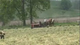 Amish Country - Take a ride in beautiful Holmes County, Ohio