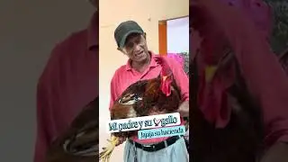 Miren a mi padre y su s&uacute;per gallo ##BusinessSuccess  #pork #campo