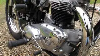 Triumph Bonneville TT Special