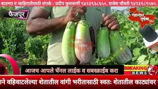 सावद्याचे राजेंद्र भोरटके कुटुंबीय यांनी श्री.  मनू पाटील यांचे शेतातील वांगी भरीतासाठी भाजून देतात.