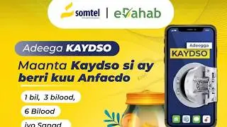 Maanta Kaydso si ay Berri kuu anfacdo: Maamulka Lacagta ee Dahab Plus