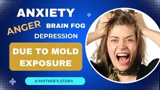 Could Toxic Mold Be Causing Anger, Anxiety, Fatigue Brain Fog and Depression? Mold Illness explained
