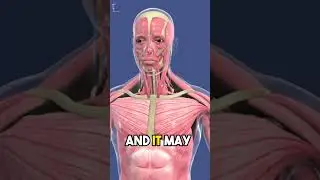 Maximize Muscle & Fat Loss with Minerals | Top Workout Recovery Tips