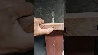 Mind-Blowing Woodworking Hack with a Stapler!​#woodworkinghacks #diyprojects #woodworkingtips #sorts