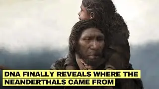 Mystery Of The Neanderthals: New DNA From 430,000-Year-Old Remains Rewrites Their Entire History!