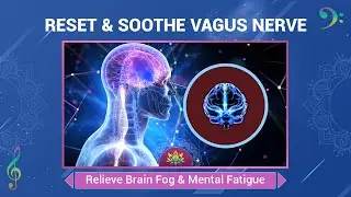 Reset & Soothe Vagus Nerve - Relieve Brain Fog & Mental Fatigue - Deep Heal Nervous System