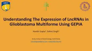 Understanding The Expression of LncRNAs in Glioblastoma Multiforme Using Gepia