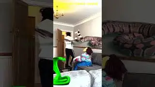 Animal funny video Anaconda snake python chase by chucky Scary PRANK TikTok 2024 comedy ep123