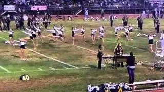 The Golden Pirate Regiment