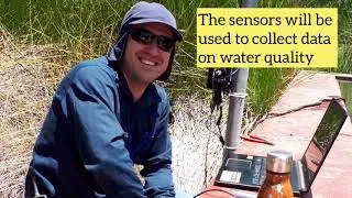 Wharf Street Basin Next Generation Park - IoT devices
