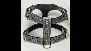Gray Navy Croc Leather XL Harness with Gold Hardware. #harness #bowie #dogharness