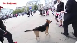 Подборка Люди 80 лвл Уровень Бога Супер навыки    PEOPLE ARE AWESOME 2016   MUST WATCH