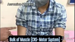 How to examine Bulk of Muscle (CNS - Motor System) | with Dr.Karee & Dr.Imtiyaz #mbbs #medicine