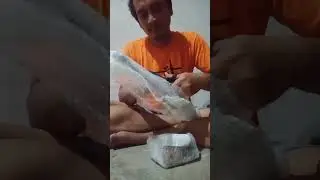 review pancingan dari shoope