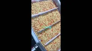 Quick-Frozen Diced Vegetable Production Line IFQ For Factory