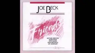 Joe Beck  