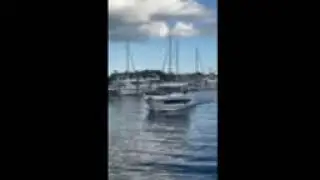 NC1095 in Dinner Key Marina