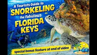 Florida Keys Snorkeling Guide 🐠 | Best Reefs, Warm Water & Must-See Spots for Tourists (BONUS!)