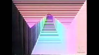 Videoteca (1981)