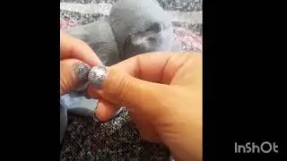 Como realizar nudos para coser o tejer f&aacute;ciles y r&aacute;pidos. 