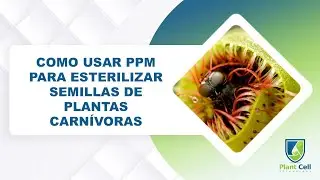 Como usar PPM para esterilizar semillas de plantas carn&iacute;voras