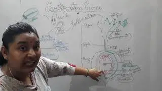 Class 10 ||How do organisms reproduce|| Fertilization in flowers|| Double fertilization