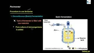 Fermenter, Biology | Sabaq.pk