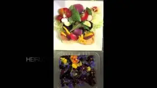 Fabulous Foods Creates a Summer Salad In Honor Of 