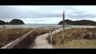 New Zealand // MATAPOURI BEACH
