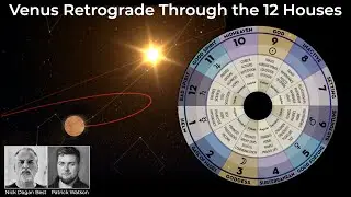 Venus Retrograde Through the 12 Houses