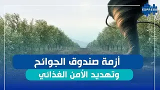 ضرورة تفعيل صندوق الجوائح لتعويض الأضرار التي طالت المجال الفلاحي!!!