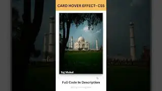 Card Hover Effect HTML and CSS |  Hover Animation CSS   