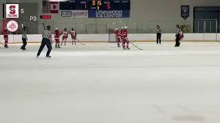 Surrey Falcons U18 A1 @ Seattle Red Hawks U18 A1